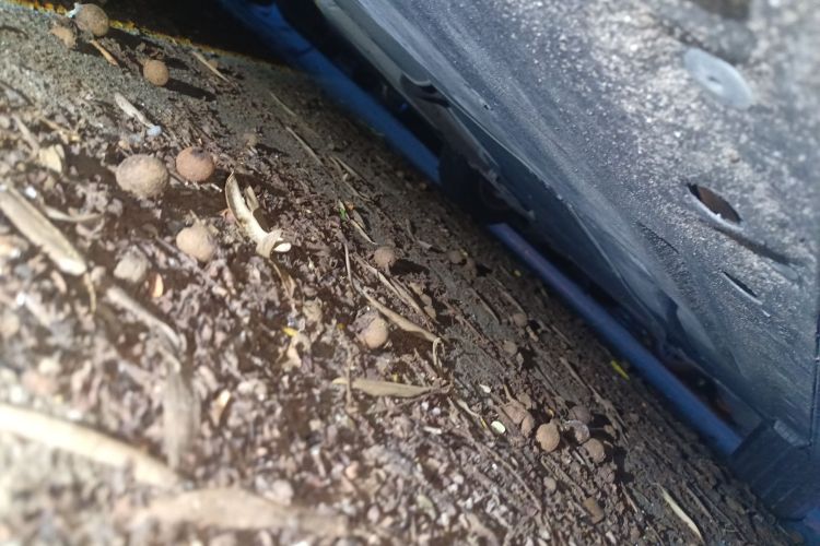 宝马1系(进口) 2013款 改款 116i 领先型局部细节9002