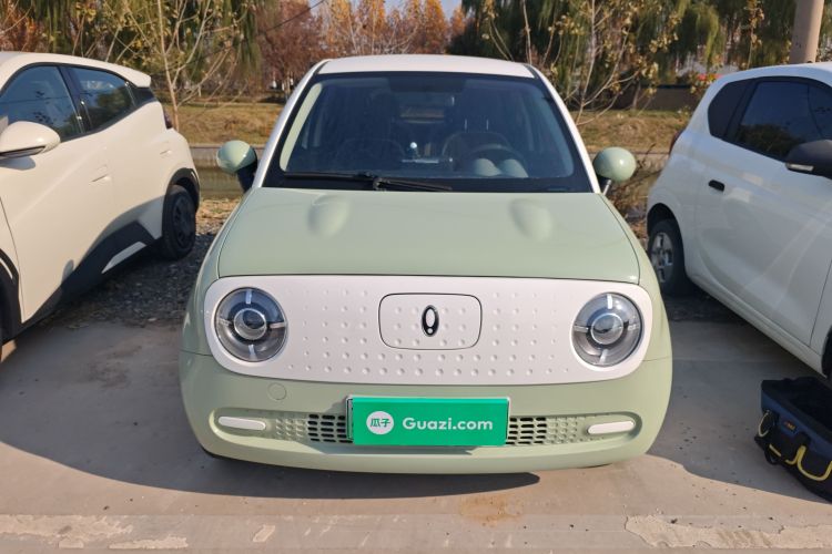 欧拉黑猫 2022款 301km 萌动型 磷酸铁锂车身外观2