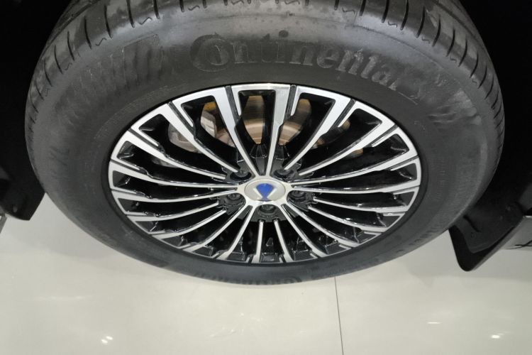 腾势D9 2022款 DM-i 970 四驱尊荣型车身外观6007