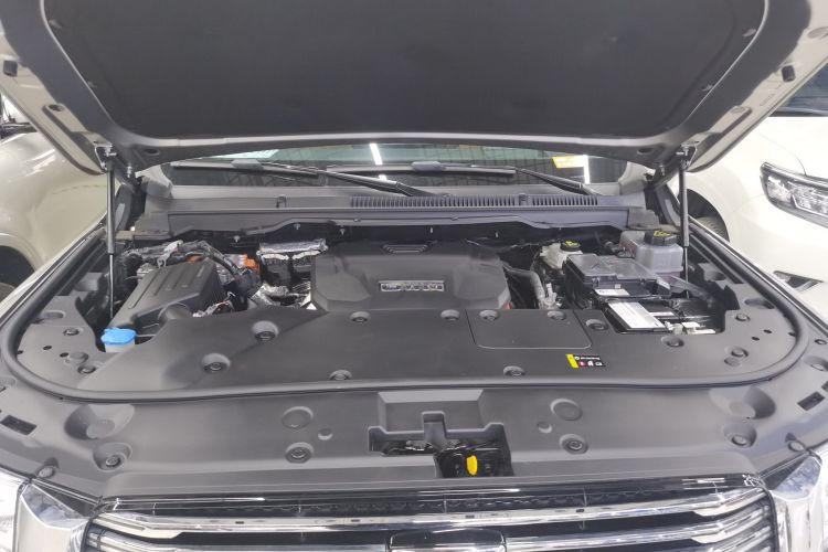 坦克500新能源 2023款 Hi4-T机舱底盘24