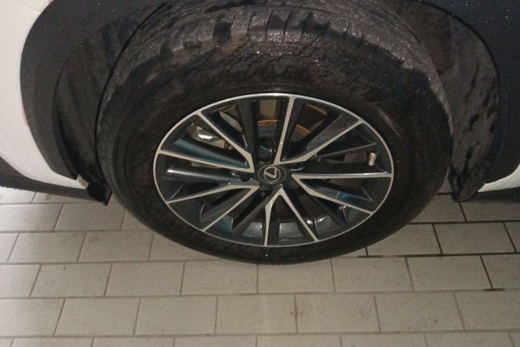 雷克萨斯NX新能源 2022款 400h+ 畅悦版车身外观6007