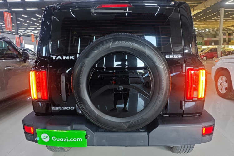 坦克300 2021款 越野版 2.0T 征服者车身外观6004