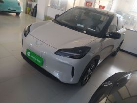 五菱汽车 五菱缤果PLUS 2024款 330km 五座版