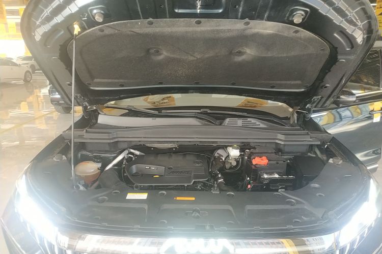 东风风神 皓极 2022款 马赫动力 1.5T 敢爱版机舱底盘24