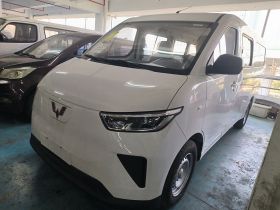 五菱汽车 五菱扬光 2024款 300KM 舒适型客车版 75kW