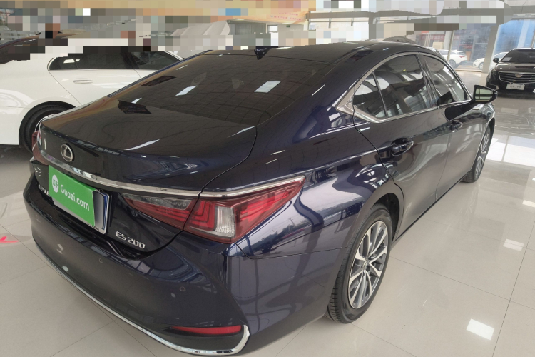 雷克萨斯ES 2023款 200 卓越版车身外观6005