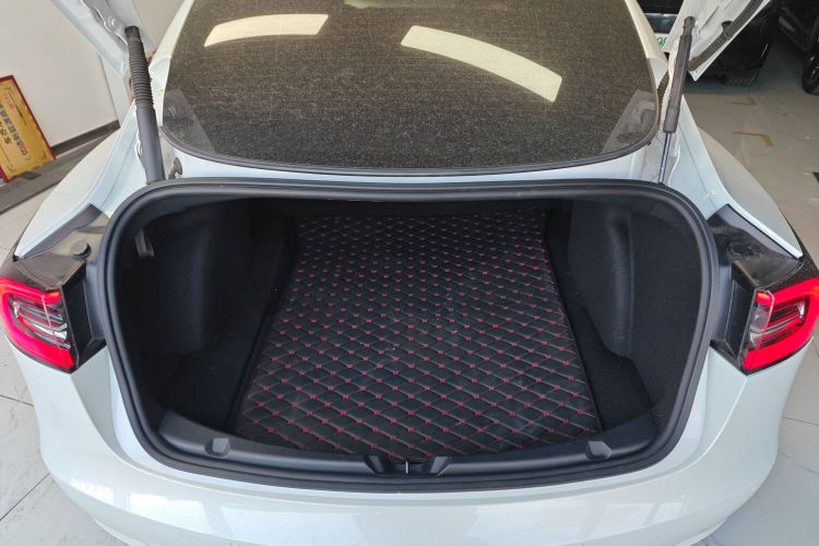 特斯拉 Model 3 2021款 标准续航后驱升级版 3D6局部细节23