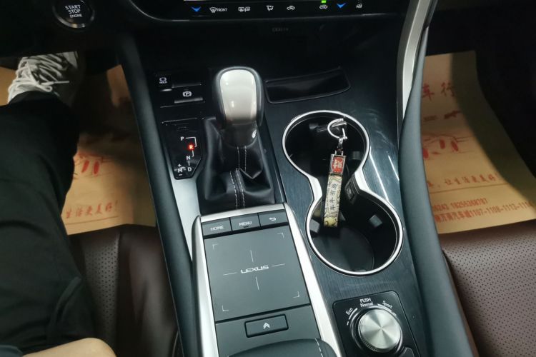 雷克萨斯RX 2020款 改款 300 两驱精英版中控内饰18