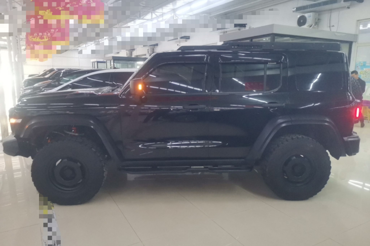 坦克300 2023款 2.0T 铁骑02车身外观6003