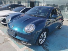 欧拉好猫 2021款 400km标准续航 缪斯版 三元锂