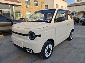 吉利银河 熊猫 2025款 210km 元气熊