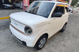 吉利银河 2023款 熊猫mini 200km 耐力熊