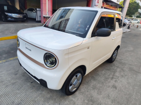 吉利银河 2023款 熊猫mini 200km 耐力熊