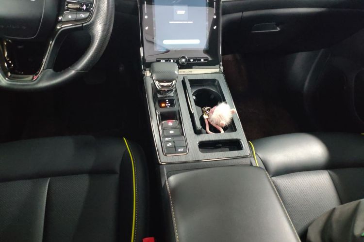 荣威RX5 2021款 PLUS 330TGI 自动国潮智臻版中控内饰18