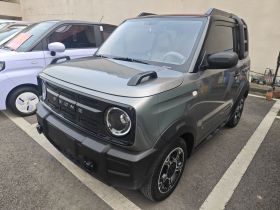 吉利银河 2025款 210km 熊猫骑士