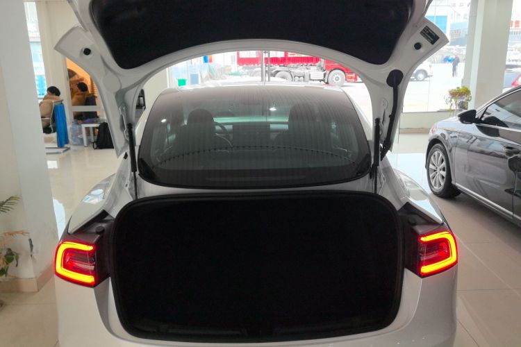 特斯拉 Model 3 2020款 改款 长续航后轮驱动版局部细节23