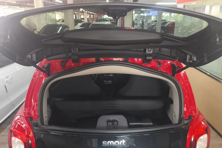 smart fortwo 2018款 1.0L 52千瓦硬顶灵动版 国V局部细节23