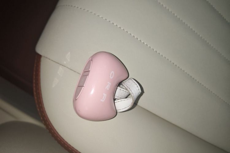 欧拉好猫 2022款 500km长续航 豪华型 三元锂中控内饰11