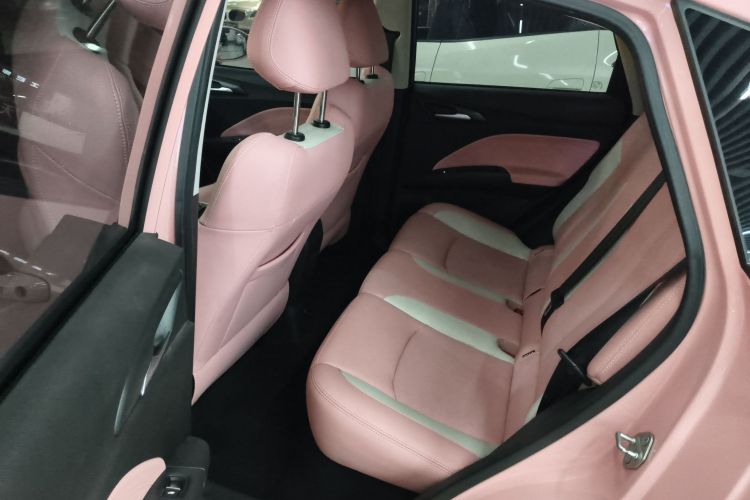 哪吒汽车 哪吒V 2021款 魔女版中控内饰21