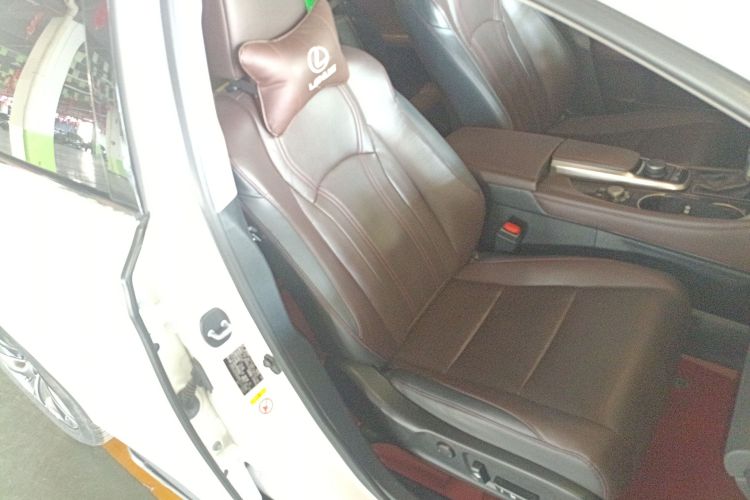 雷克萨斯RX 2016款 300 四驱典雅版 国V局部细节41