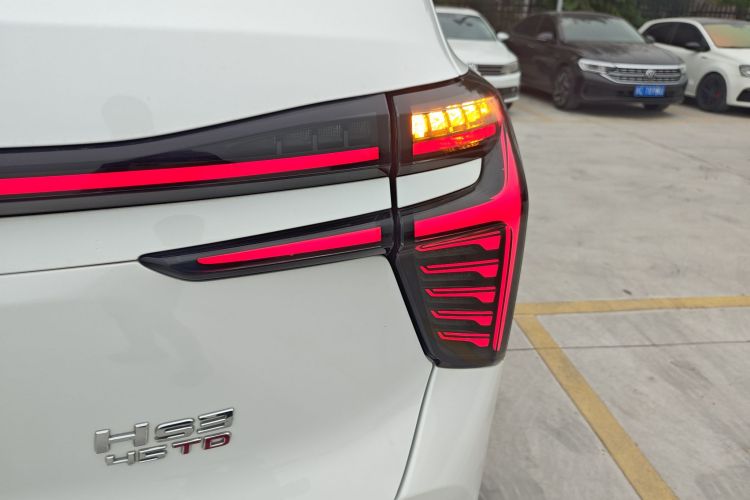 红旗HS3 2023款 2.0T 四驱有为版车身外观9