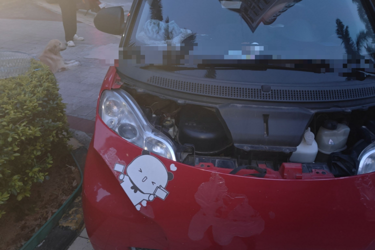 smart fortwo 2011款 1.0 MHD 敞篷激情版局部细节9006