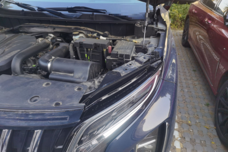 红旗HS7 2023款 2.0T 自动四驱旗畅版 六座局部细节9007