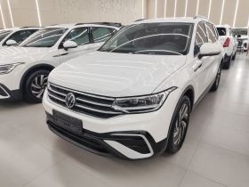 大众 途观L 2022款 330TSI 自动两驱舒享版