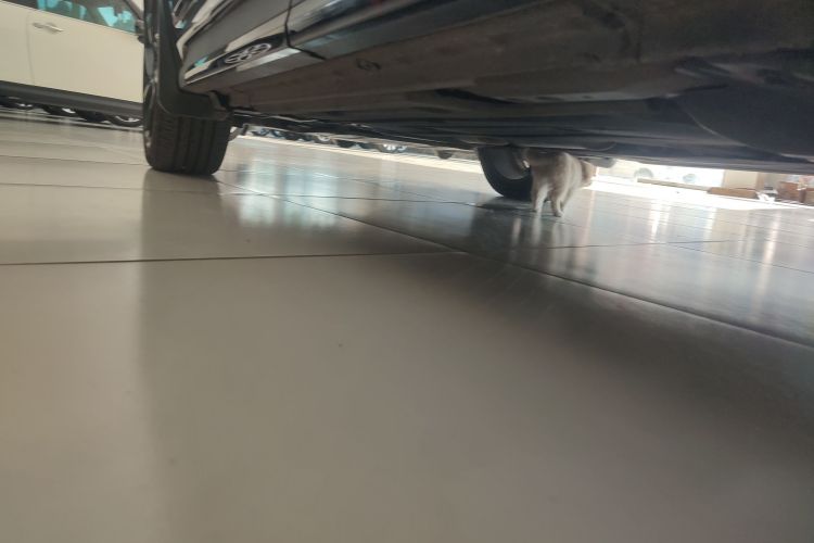 领克01 2021款 2.0TD 四驱暗夜版机舱底盘30