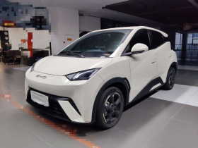 比亚迪 海鸥 2023款 飞翔版