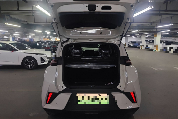 比亚迪 海鸥 2025款 智驾版 305km 自由版机舱底盘23