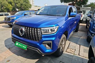 长城 炮 2024款 2.4T商用版自动柴油两驱精英型