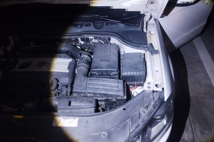 大众 迈腾(进口) 2012款 旅行版 2.0TSI 舒适型局部细节9007