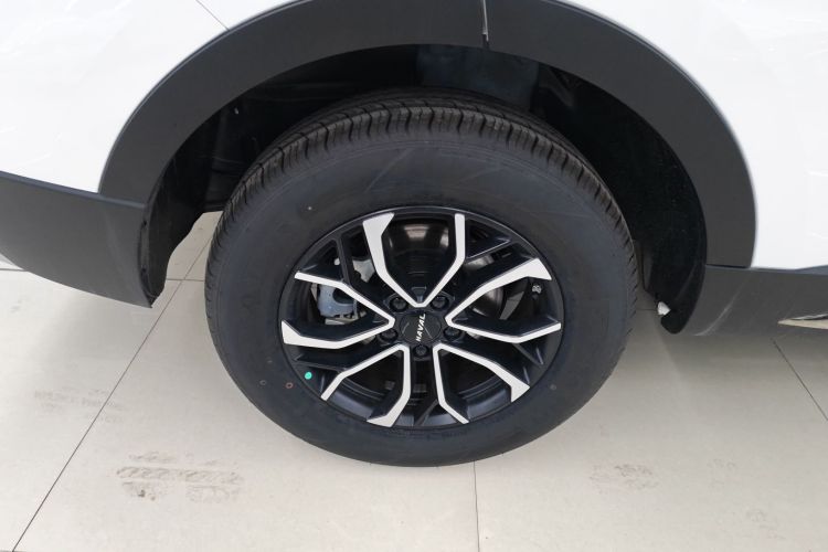 哈弗H6 2023款 国潮版 1.5T 自动都市版车身外观6008