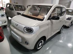 五菱汽车 宏光MINIEV 2024款 第三代 215km 青春版