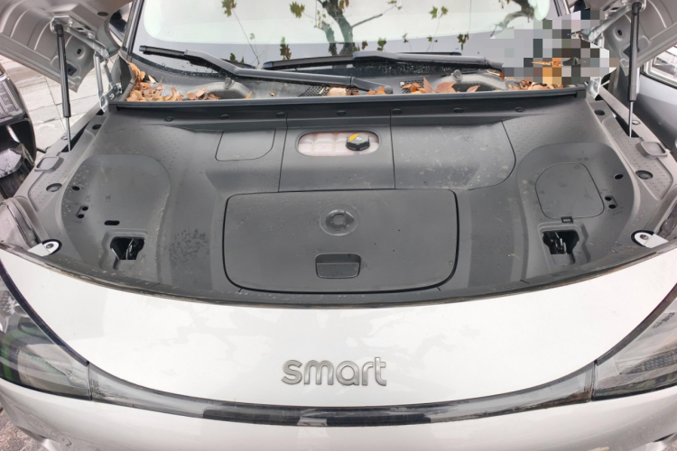 smart精灵#1 2022款 Premium版局部细节24