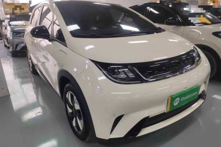 比亚迪 海豚 2024款 荣耀版 420km 时尚版车身外观3