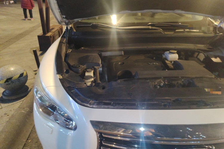 英菲尼迪QX60(进口) 2014款 3.5L 四驱全能版局部细节9006