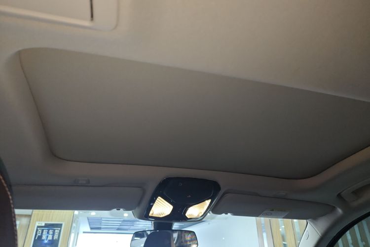 宝马5系 2021款 改款 530Li xDrive 豪华套装局部细节22