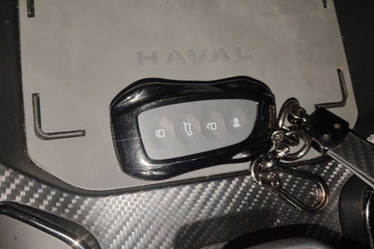 哈弗大狗 PLUS 2023款 1.5T 两驱潮野版Plus中控内饰7001