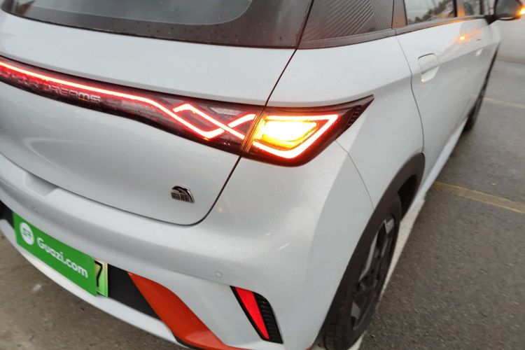 比亚迪 海豚 2021款 405km 自由版车身外观9