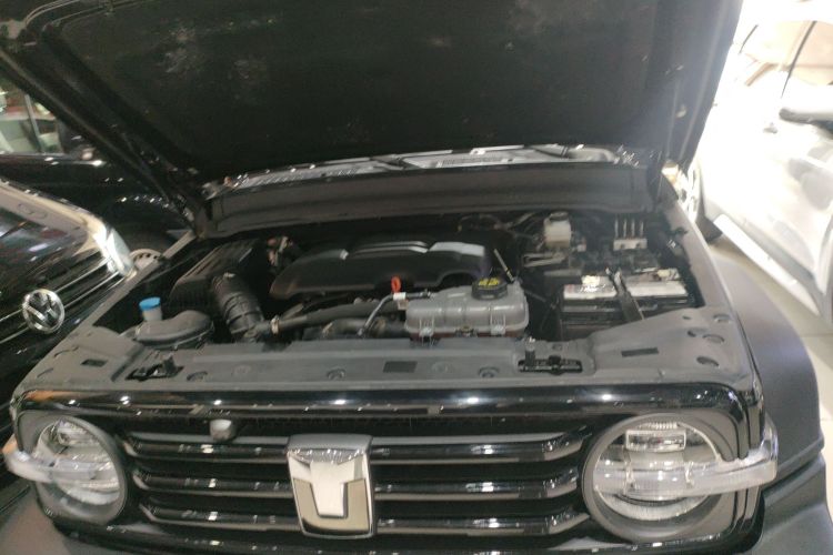 坦克300 2024款 2.0T 挑战者机舱底盘24