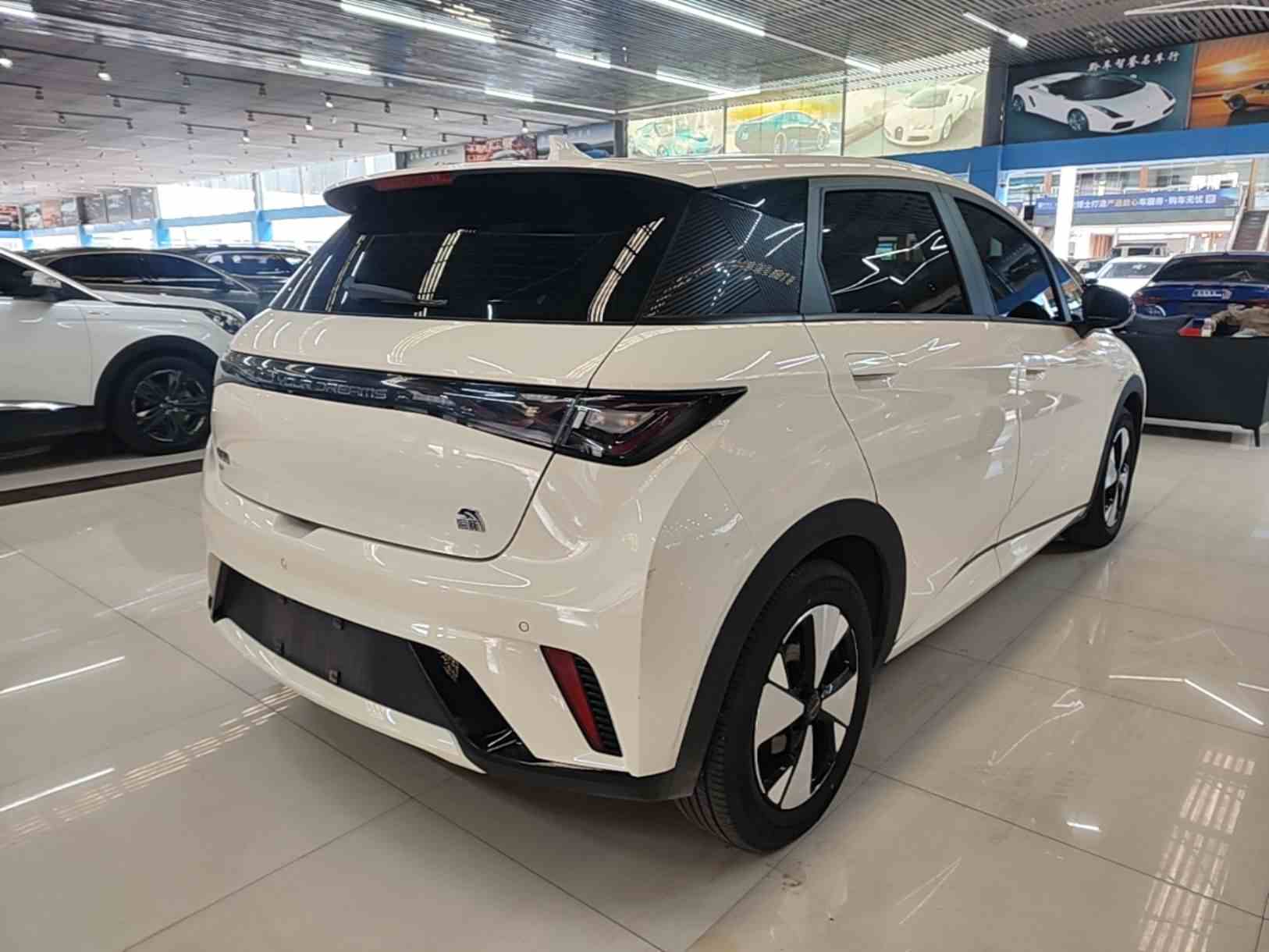比亚迪 海豚 2023款 420km 自由版(4)