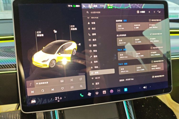 特斯拉 Model 3 2020款 改款 长续航后轮驱动版中控内饰14