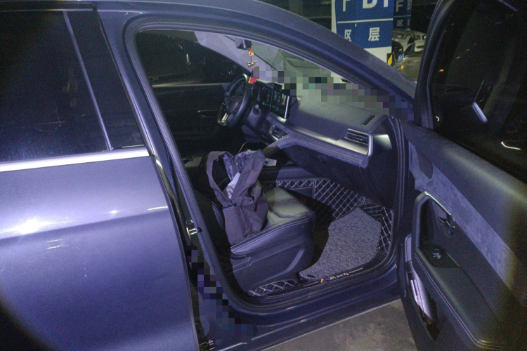 比亚迪 宋Pro新能源 2019款 DM 1.5T 四驱性能版豪华型局部细节9005