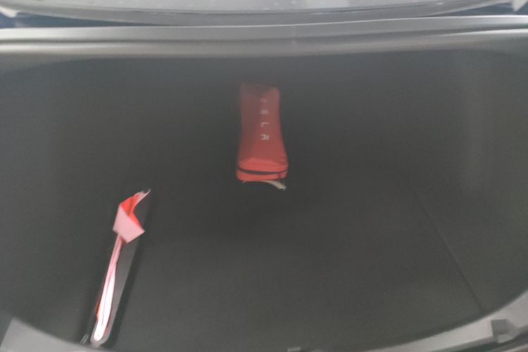 特斯拉 Model 3(进口) 2019款 长续航全轮驱动版局部细节23