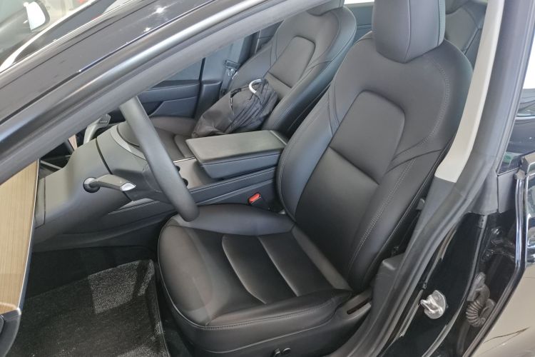 特斯拉 Model 3 2021款 改款 标准续航后驱升级版 3D1中控内饰19