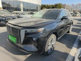 红旗E-HS9 2021款 460km 旗享版 六座