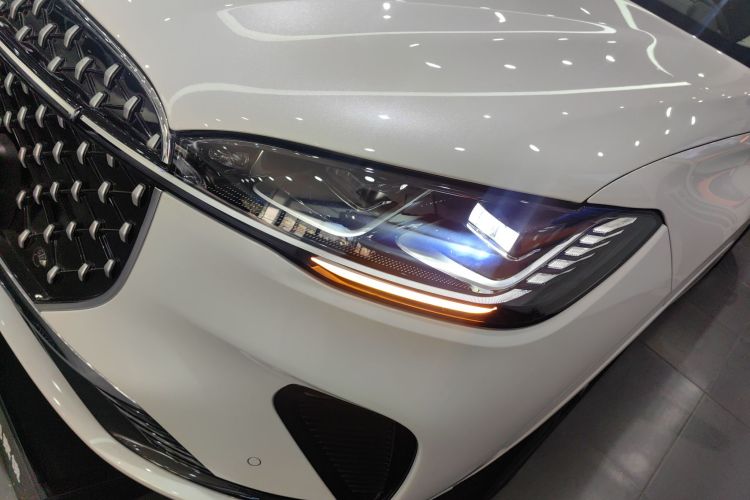 林肯 冒险家 2024款 2.0T 四驱尊耀版局部细节36