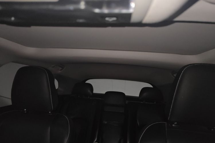 雷克萨斯RX 2016款 300 两驱精英版 国V局部细节22